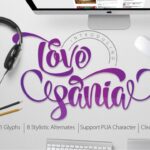 Love Sania Font Poster 1