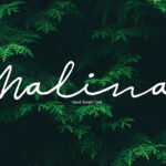 Malina Font Poster 1