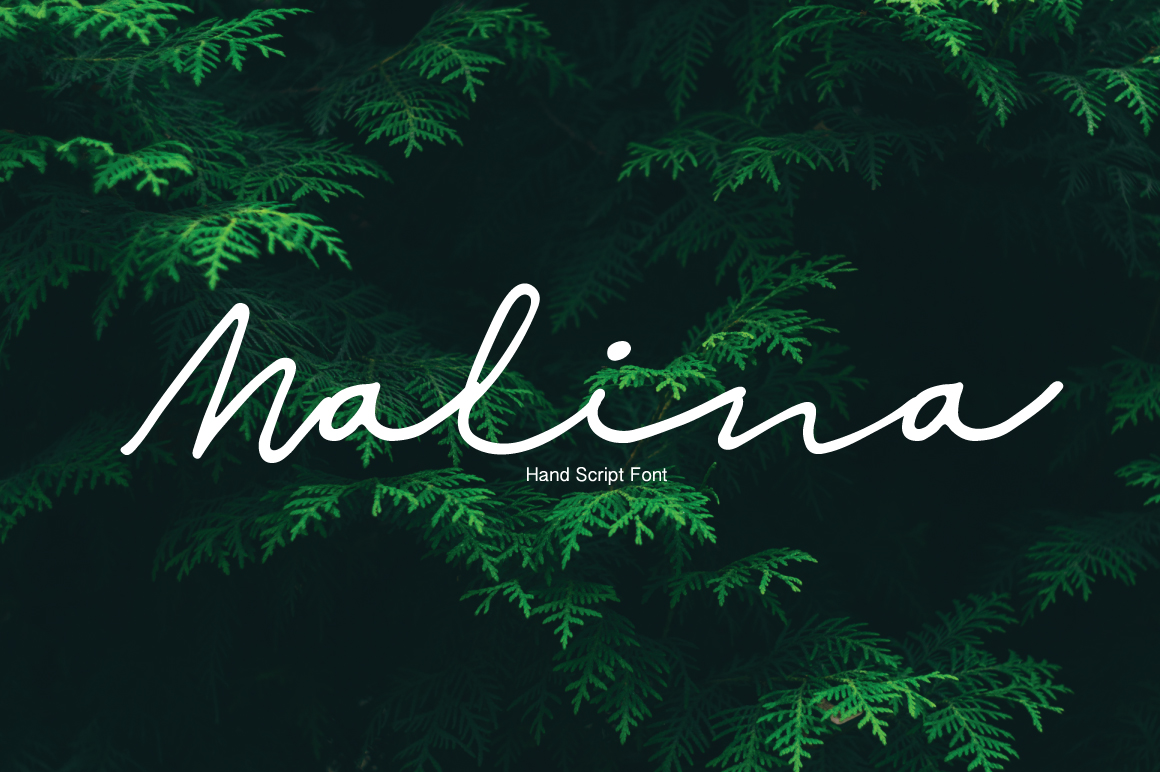 Malina Font Poster 1