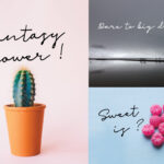Malina Font Poster 2