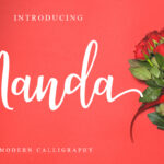 Manda Script Font Poster 1