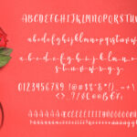 Manda Script Font Poster 6