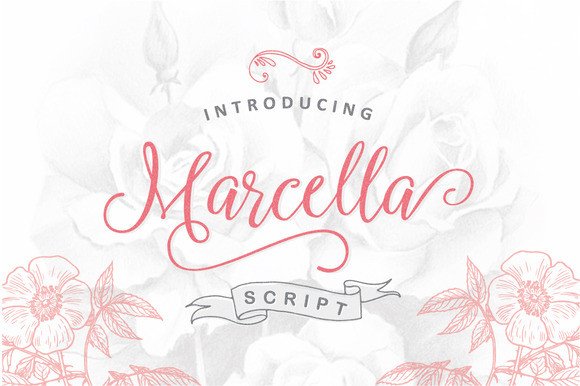 Marcella Font