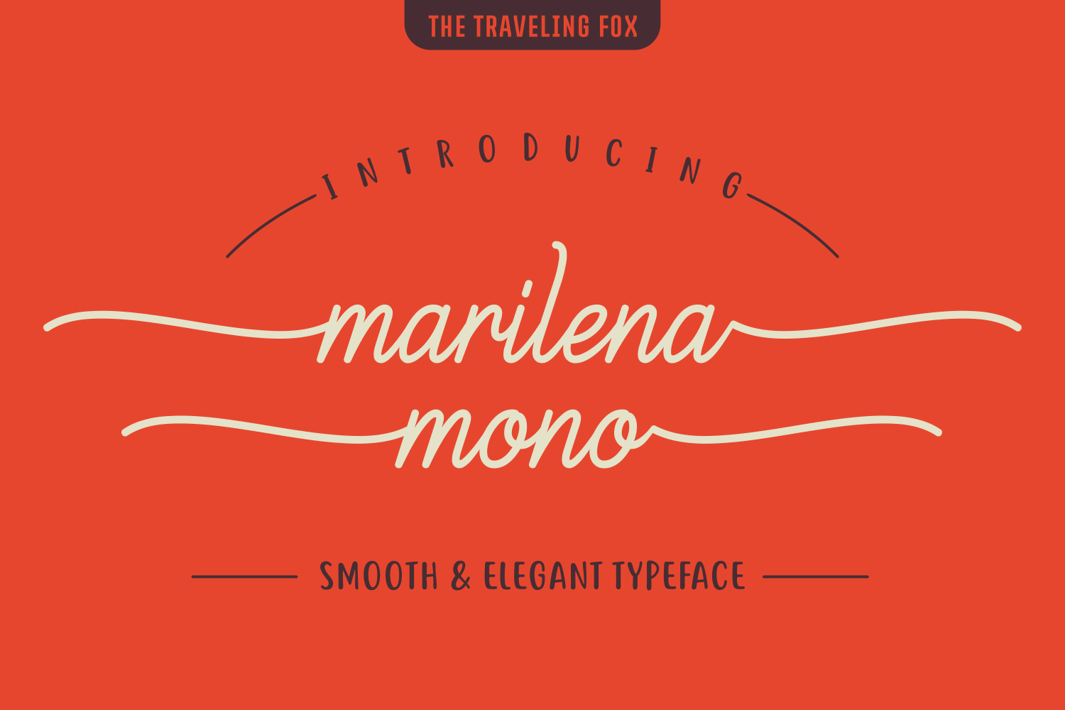Marilena Mono Font Poster 1