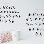 Marseline Font Poster 4