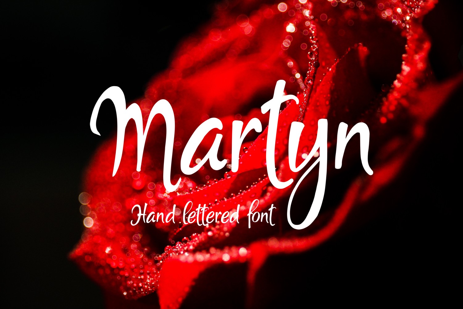 Martyn Font Poster 1