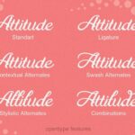 Maudy Script Font Poster 2