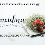 Meidina Font Poster 1