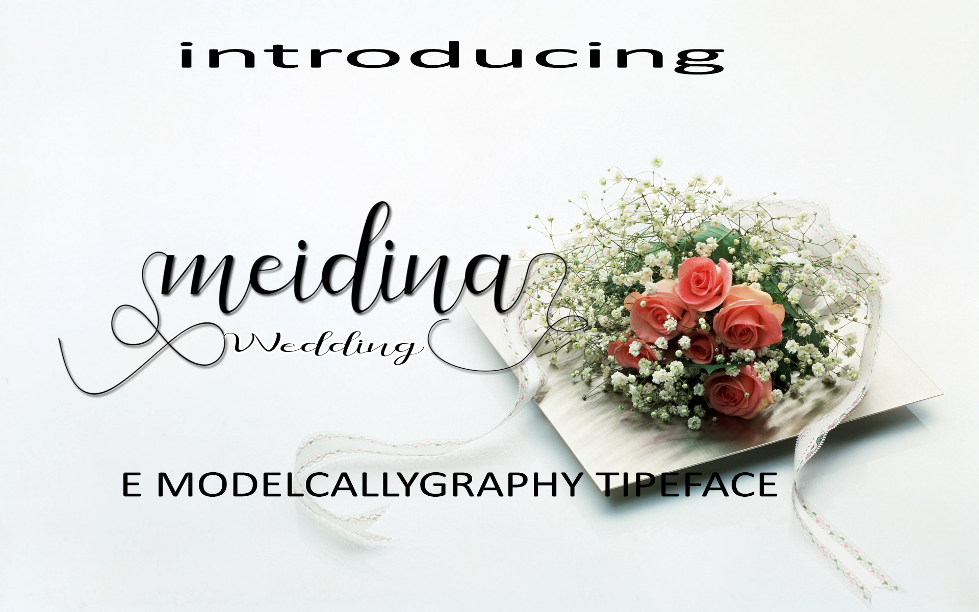 Meidina Font Poster 1