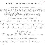 Menttion Script Font Poster 6
