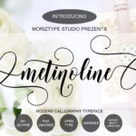 Metinoline Script Font Poster 1