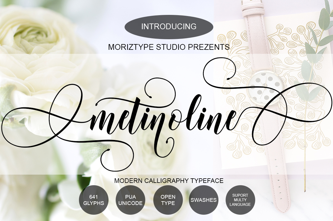 Metinoline Script Font