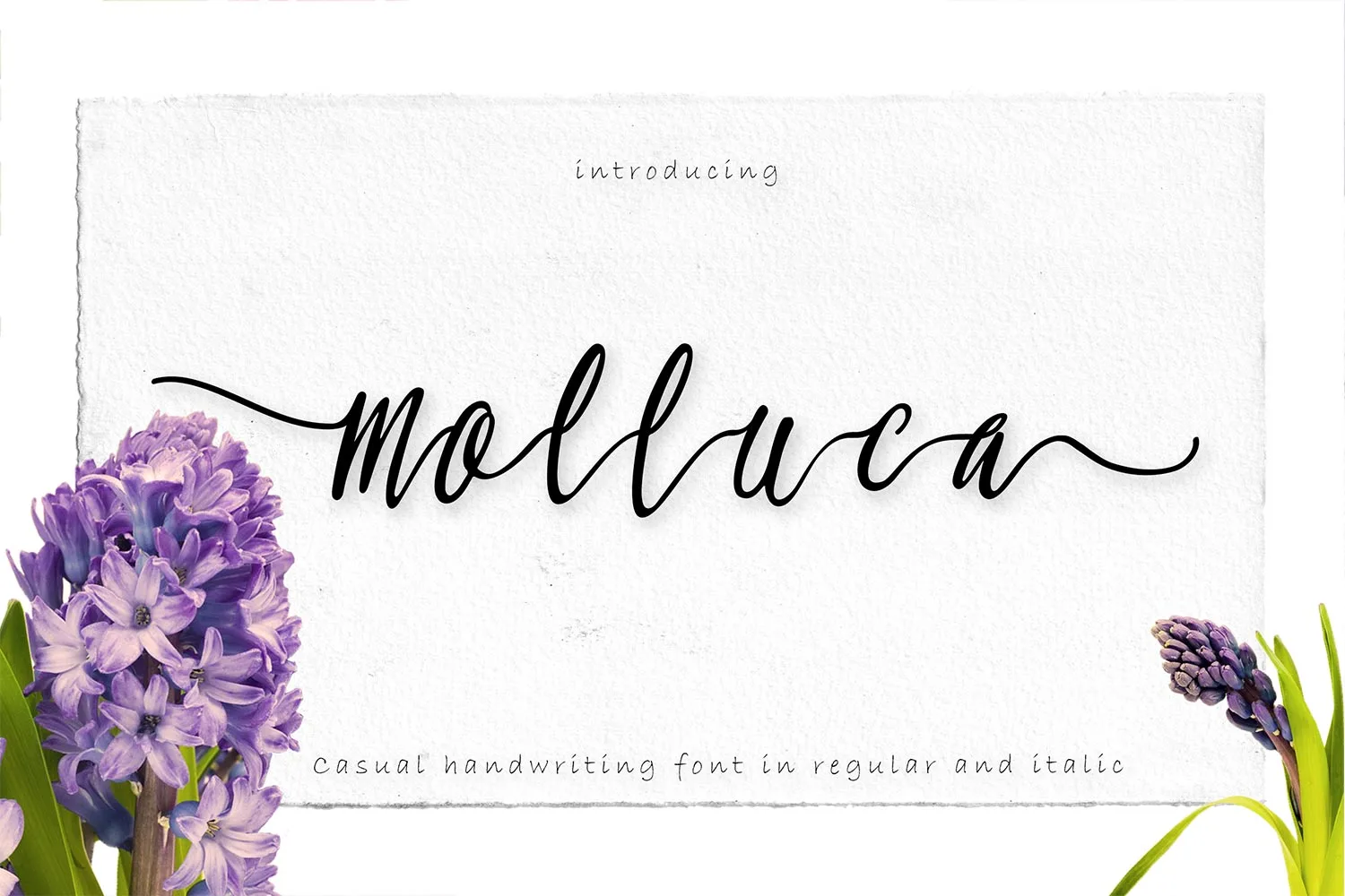 Molluca Font Poster 1