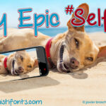 My Epic Selfie Font Poster 1