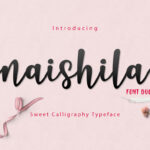 Naishila Script Font Poster 1