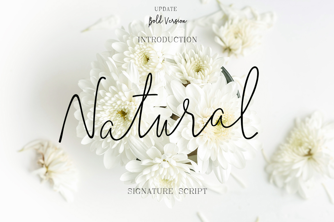 Natural Font Poster 1