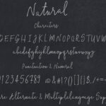 Natural Font Poster 7