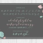 Nella Script Font Poster 4