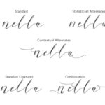 Nella Script Font Poster 5