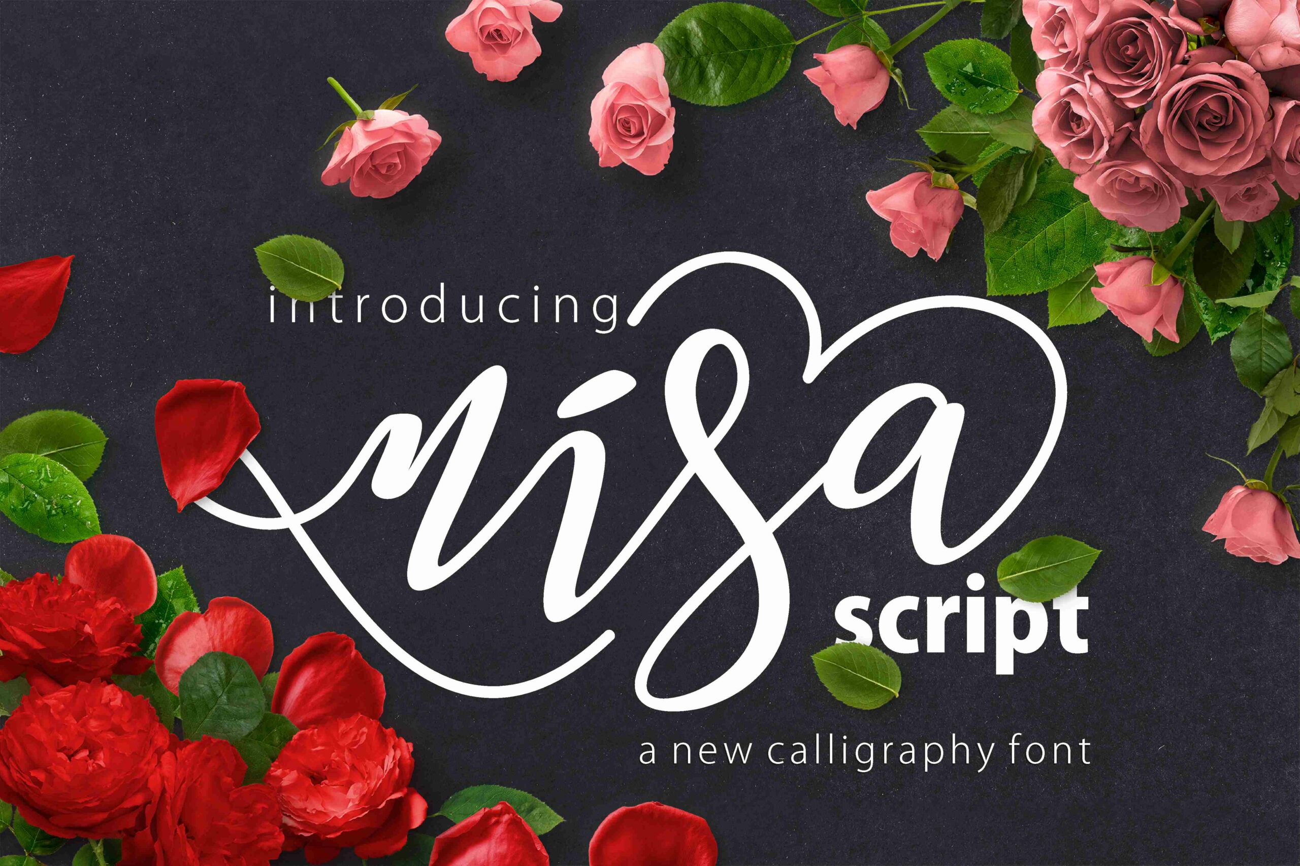 Nisa Font Poster 1