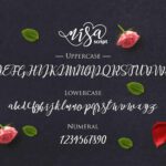 Nisa Font Poster 6