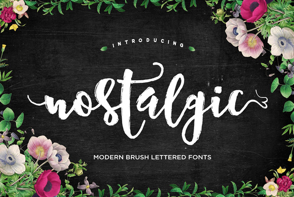 Nostalgic Script Font Poster 1