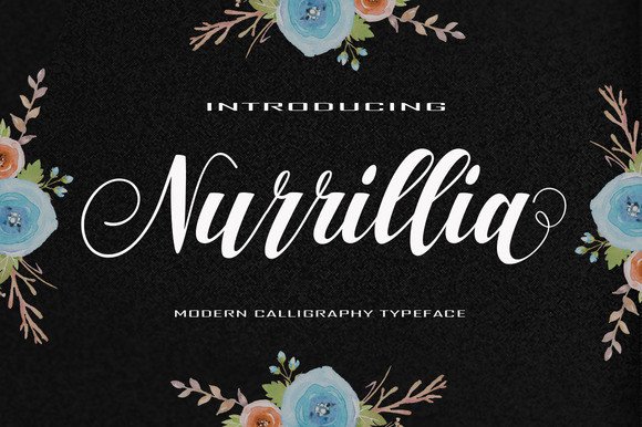 Nurrillia Font Poster 1