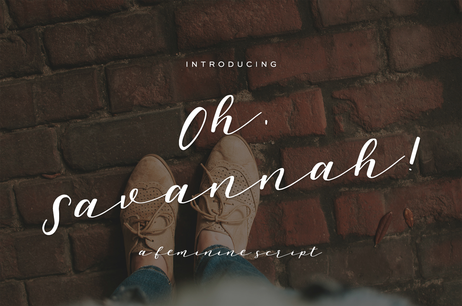 Oh, Savannah! Font Poster 1