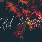 Old Maple Font Poster 1