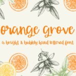 Orange Grove Font Poster 1