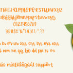 Orange Grove Font Poster 3