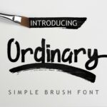 Ordinary Font Poster 1