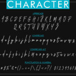 Otella Signature Font Poster 7