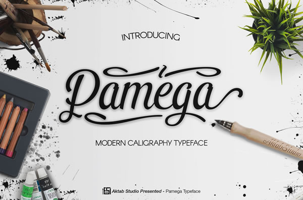 Pamega Script Font Poster 1