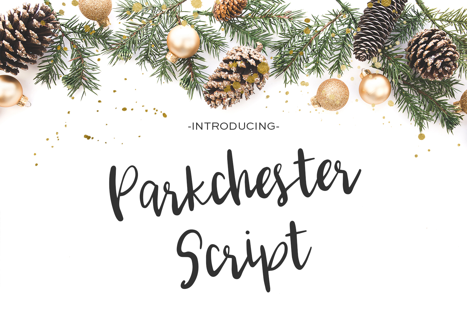 Parkchester Script Font Poster 1