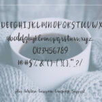 Parkchester Script Font Poster 2