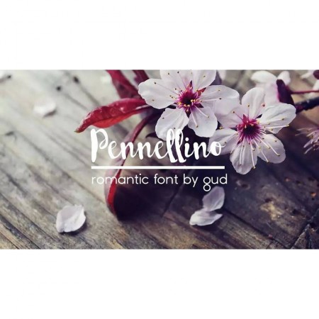 Pennellino Font