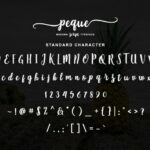 Peque Font Poster 16