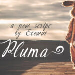 Pluma Font Poster 1