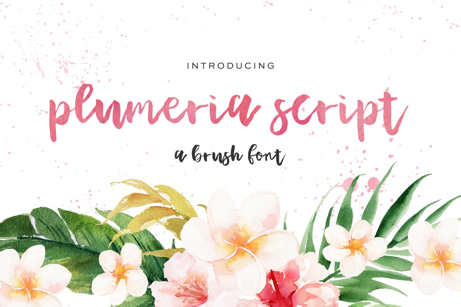 Plumeria Font Poster 1