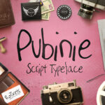 Pubinie Font Poster 1