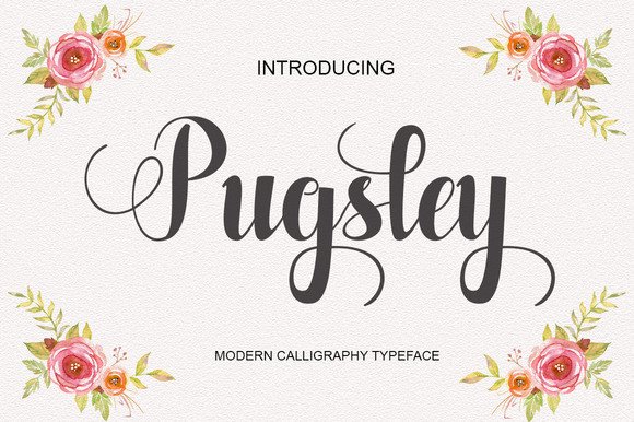 Pugsley Font