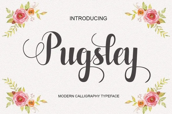 Pugsley Font Pugsley Font Poster 1