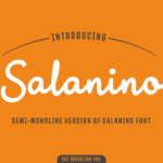 Salanino Mono Font Poster 1