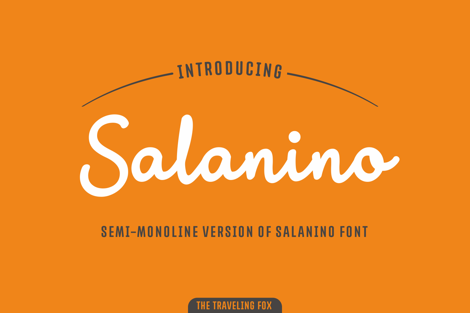 Salanino Mono Font Poster 1