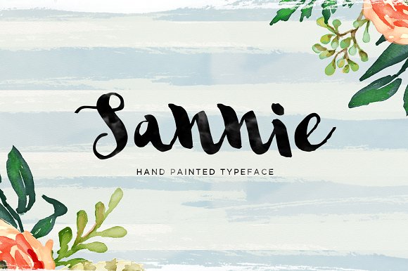Sannie Font Poster 1
