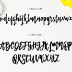 Scriblle Font Poster 2