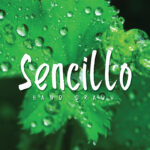 Sencillo Font Poster 1