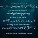 Serial Catch Font Poster 19