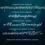 Serial Catch Font Poster 20